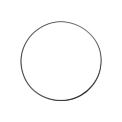 PUMP O RING