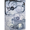 4HP24,AUDI A8,Gasket & Seal Kit,(BIN2J1)