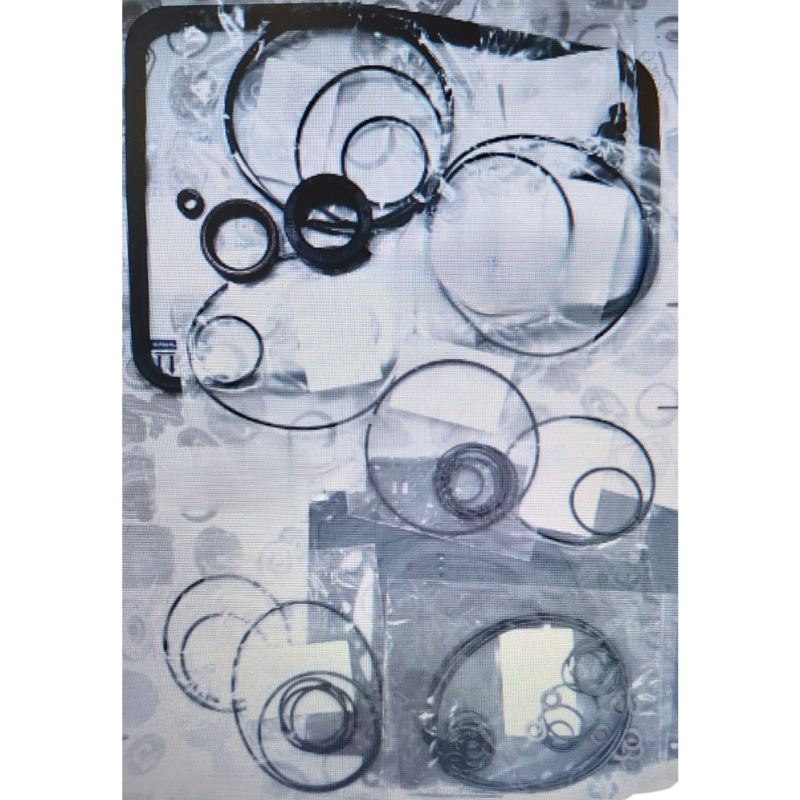 4HP24,AUDI A8,Gasket & Seal Kit,(BIN2J1)