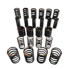 DCT450,MPS6,DCT450,Dual Clutch Spring Kit