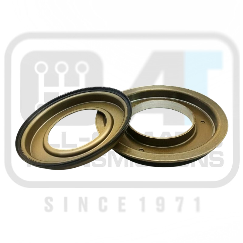 DSG , Piston Kit