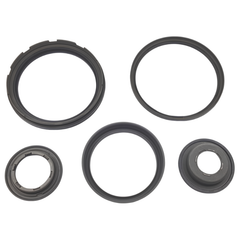 6T40,6T45,6T50 Molded Piston Kit (5 Pistons)2008-UP,BIN1F6