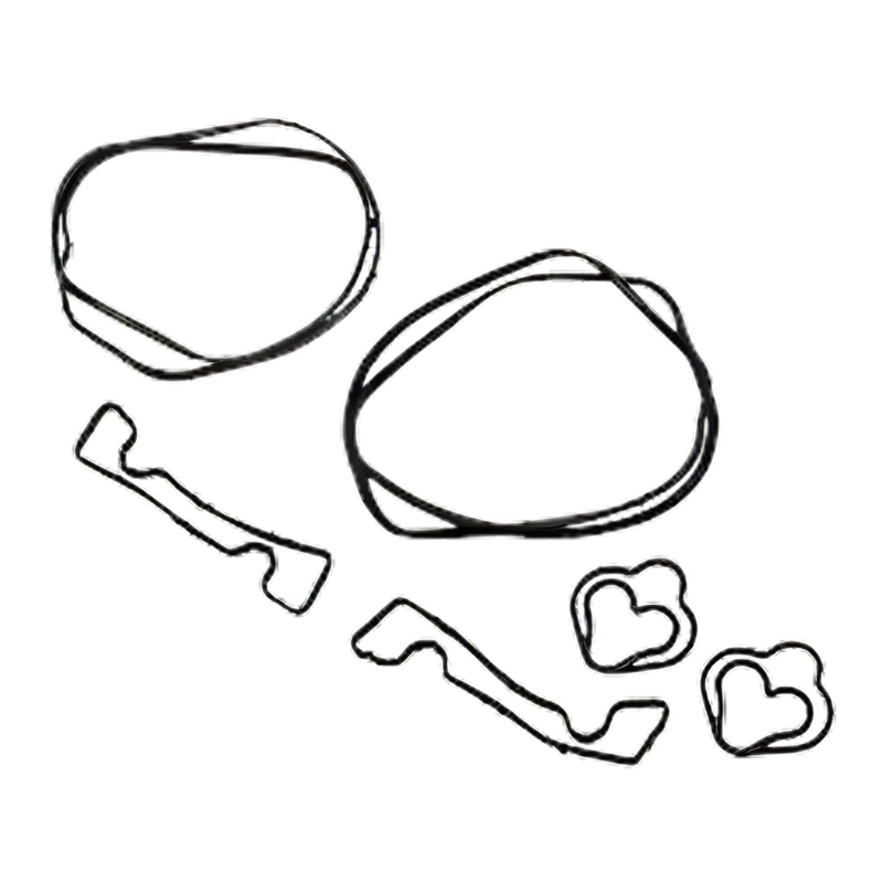 OAM,Valve Body Seal Kit,TCU