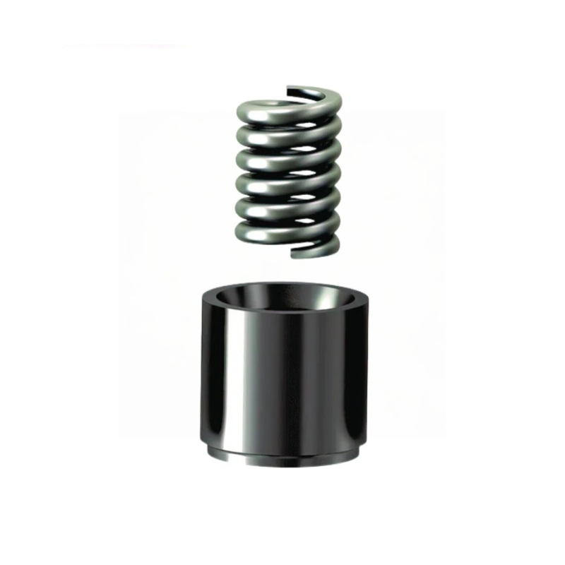 6HP26,ZF,Accumulator Piston,With Springs