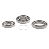 REOFO9A Roller Bearing Kit 848.90.00 (Pre)