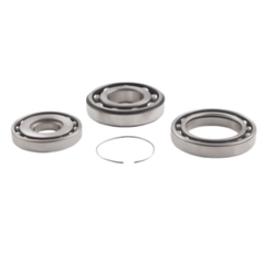 REOFO9A Roller Bearing Kit 848.90.00 (Pre)