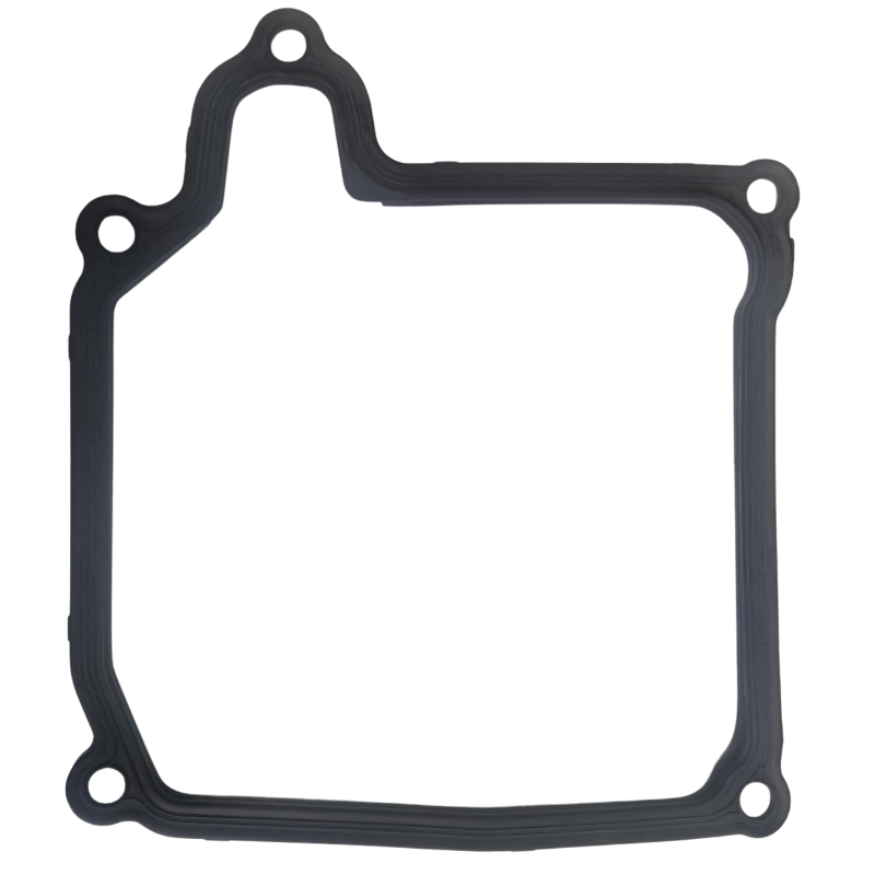DSG,02E Pan Gasket,TW