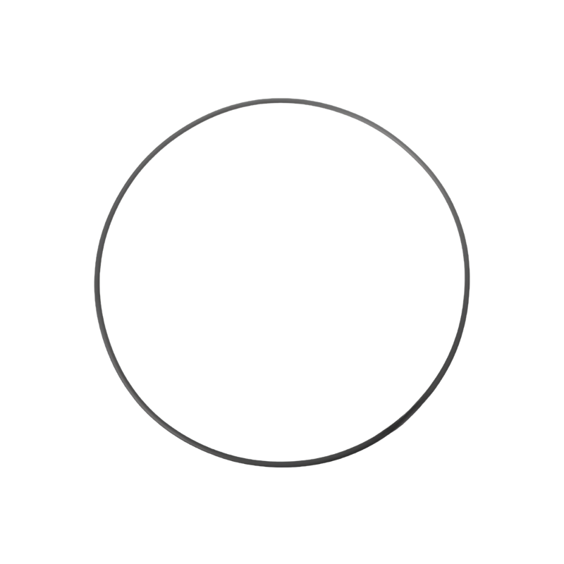 PUMP O RING
