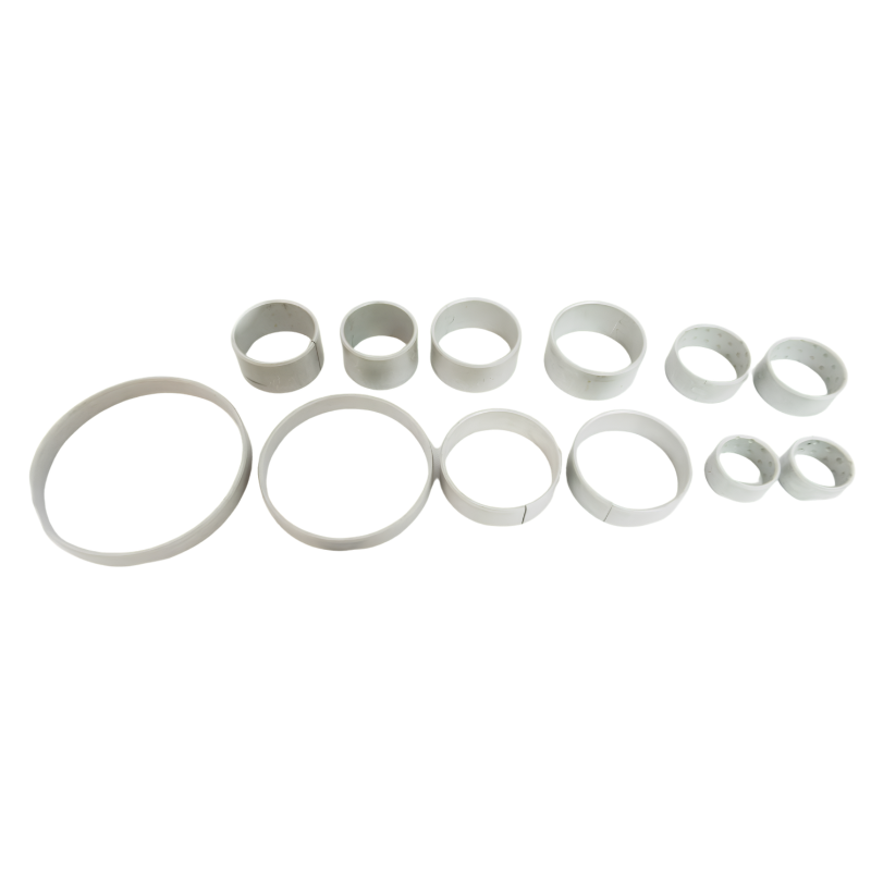 6R60E,6R80,ZF,6HP26 (Ford) Bushing Kit,2005-Up,(BINGA5)